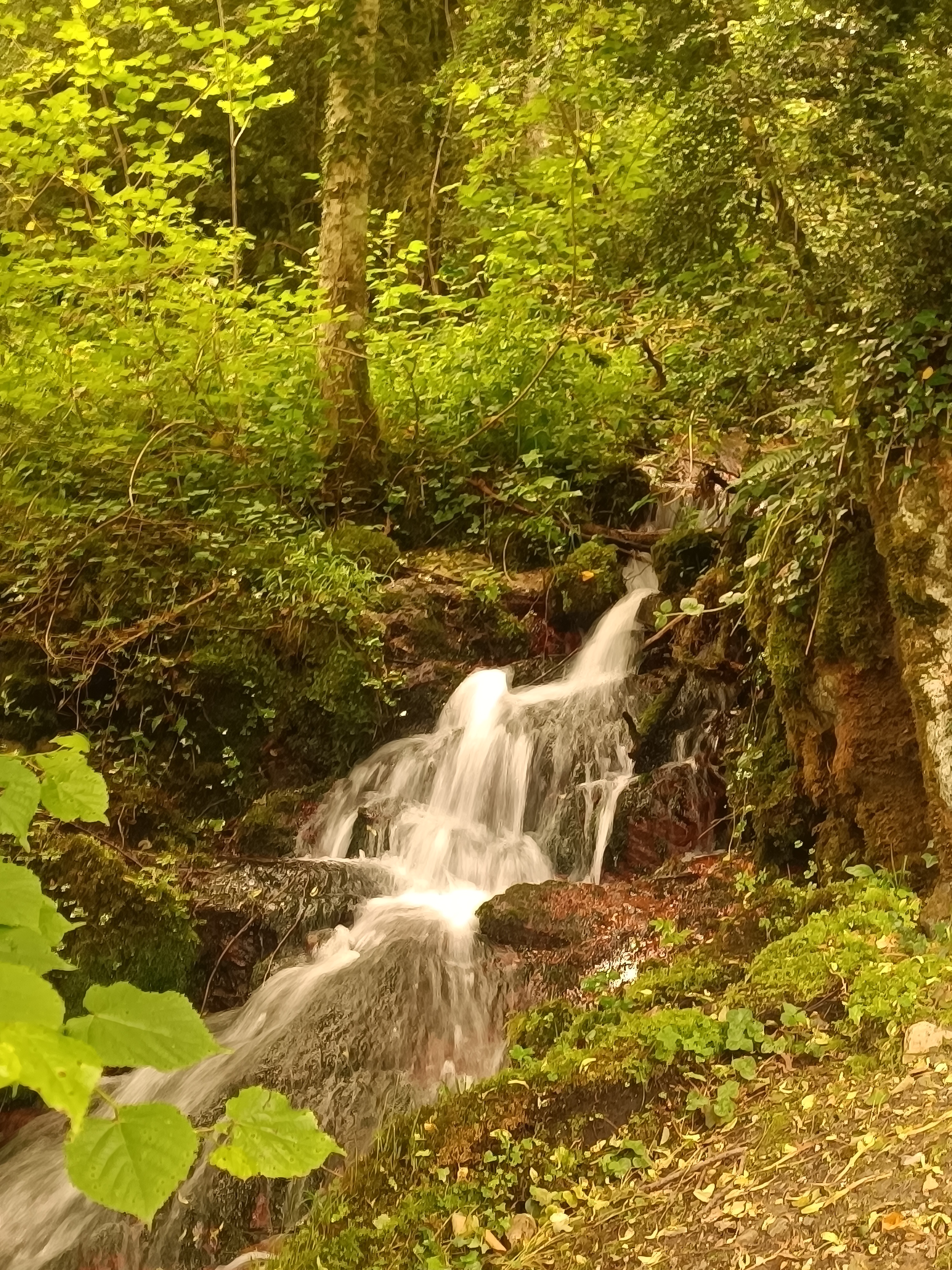 Photo n° 10 de l'avis de Bergé.a fait le 18/08/2023 à 09:42
