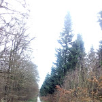 Photo n°4 de l'avis de Selimar.r fait le 29/12/2017 à 08:14 sur le  Parkhotel am Taunus à Oberursel