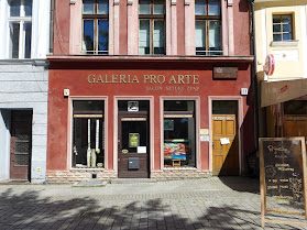 Galeria Pro Arte