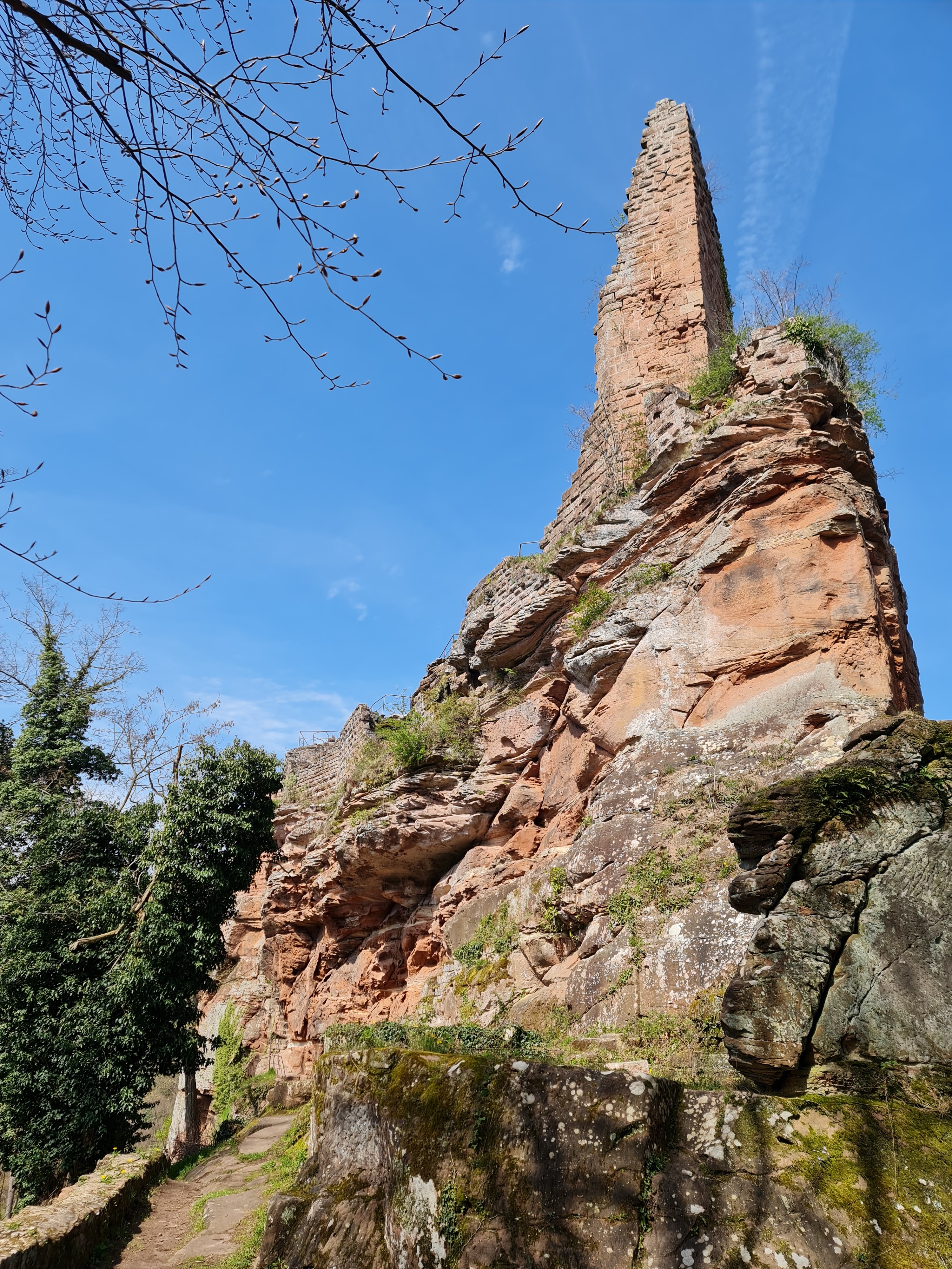 Photo n° 24 de l'avis de Roland.y fait le 23/04/2023 à 08:05