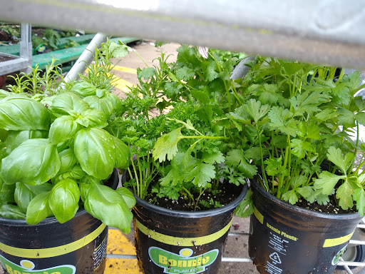 Home Improvement Store «The Home Depot», reviews and photos, 878 W Main Rd, Middletown, RI 02842, USA