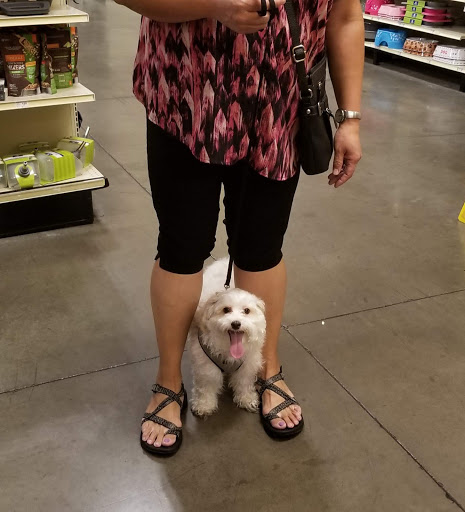 Pet Supply Store «PetSmart», reviews and photos, 1321 W Craig Rd, North Las Vegas, NV 89032, USA