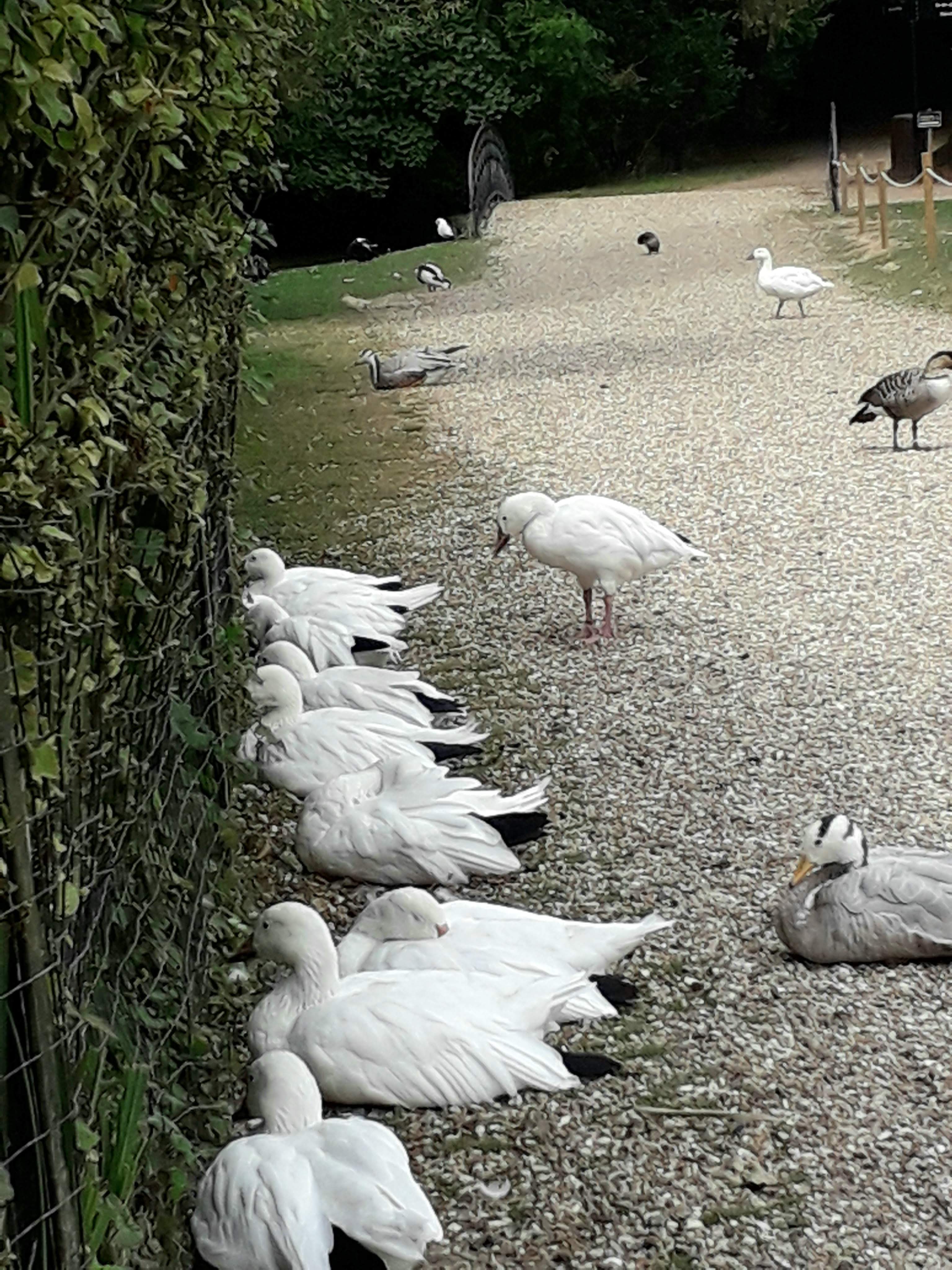 Photo n° 32 de l'avis de Le.o fait le 22/07/2022 à 15:09