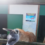 Photo n°6 de l'avis de Juan.a fait le 18/11/2018 à 19:50 sur le  Ristorante Pizzeria Furnari à Rocca di Papa