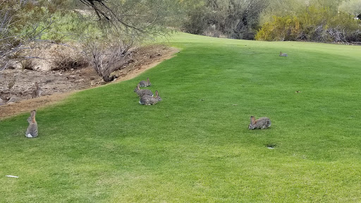 Golf Club «Lookout Mountain Golf Club», reviews and photos, 11111 N 7th St, Phoenix, AZ 85020, USA