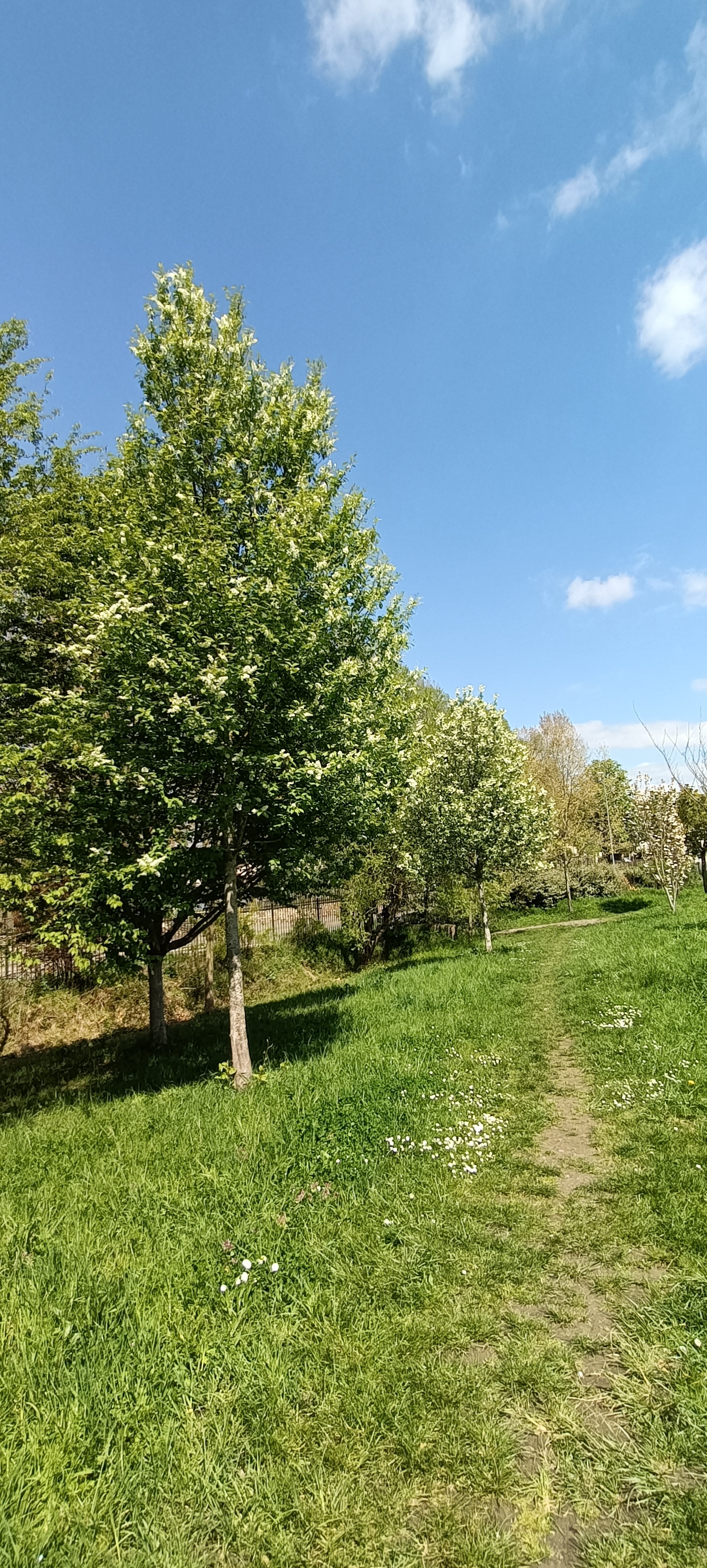Photo n° 9 de l'avis de Seb.s fait le 19/04/2023 à 15:12