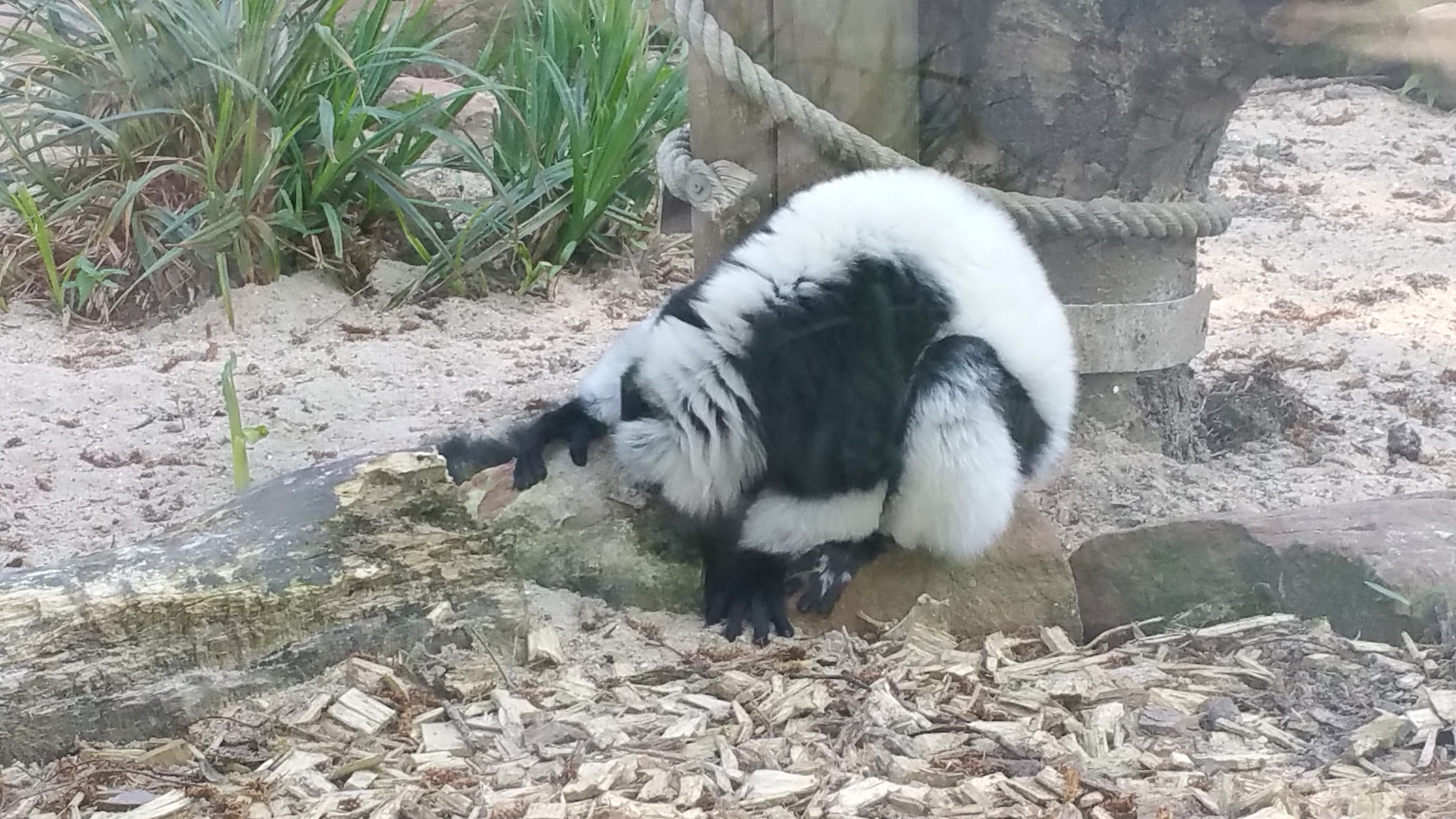 Photo n° 6 de l'avis de Arti.h fait le 19/04/2019 à 13:02