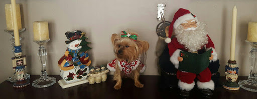 Pet Supply Store «PetSmart», reviews and photos, 12741 Towne Center Dr, Cerritos, CA 90703, USA