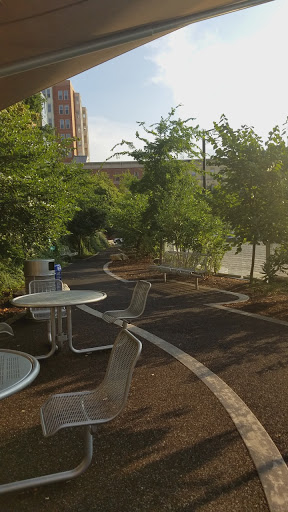 Dog Park «Clarendon Dog Park», reviews and photos, 1299 N Herndon St, Arlington, VA 22201, USA