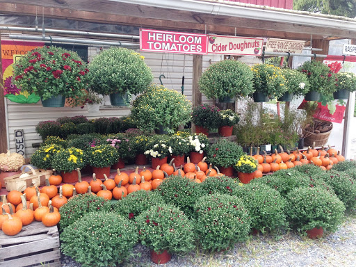 Produce Market «Highland Orchards Farm Market», reviews and photos, 1431 Foulk Rd, Wilmington, DE 19803, USA
