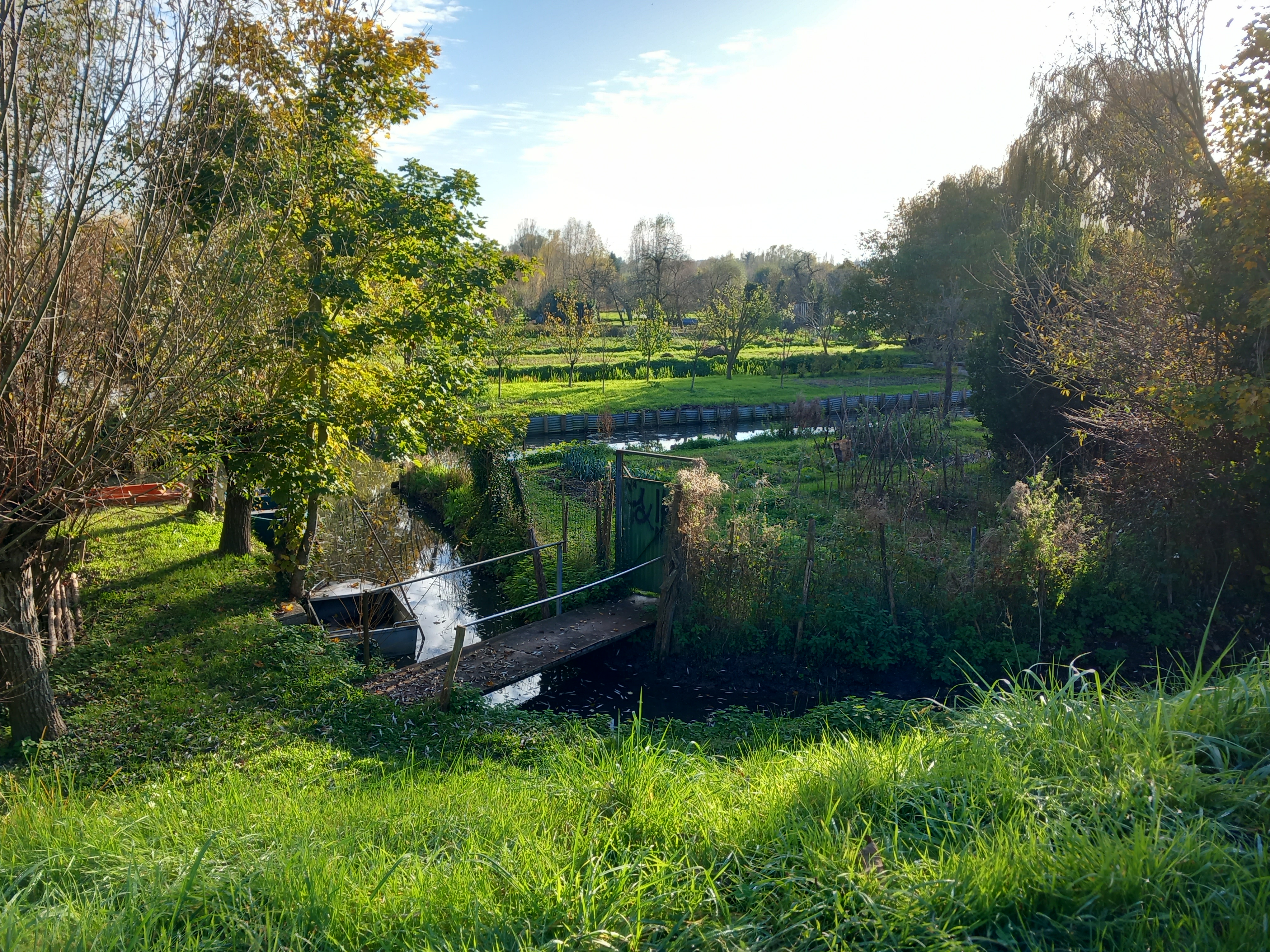 Photo n° 5 de l'avis de Ilanovich. fait le 14/01/2022 à 18:14