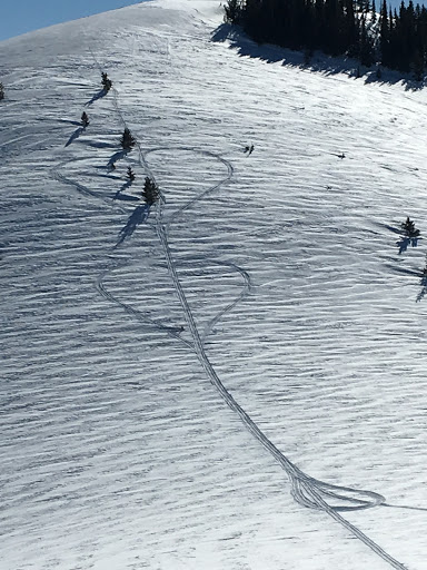 California Ski Company