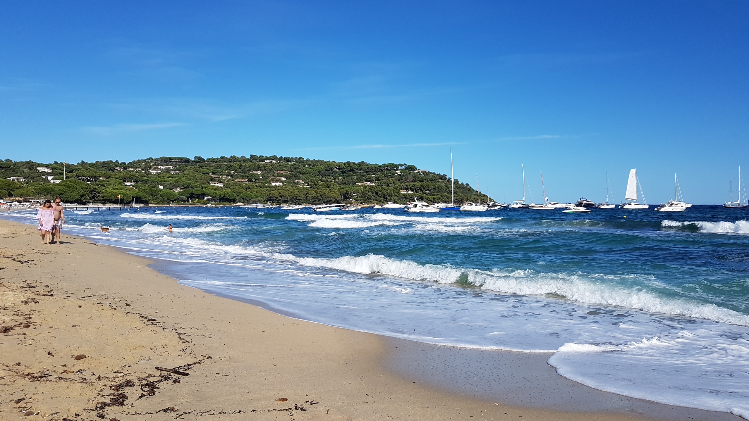 Photo n° 4 de l'avis de Mike. fait le 03/10/2019 à 12:49