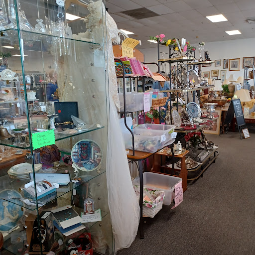 Thrift Store «Orphans Rock Thrift Shop», reviews and photos, 4001 N Highway 19A, Mt Dora, FL 32757, USA
