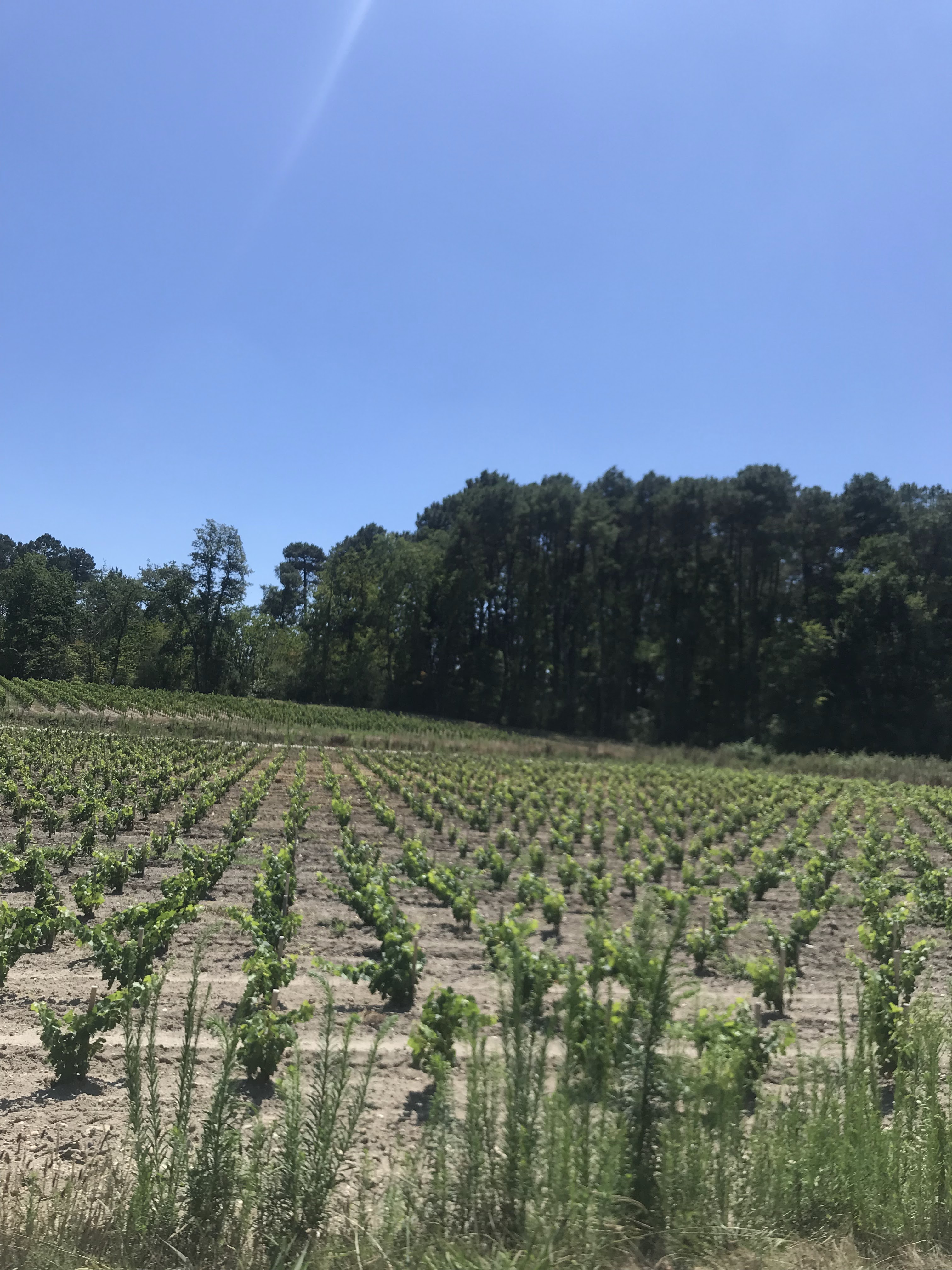 Photo n° 5 de l'avis de Rawya. fait le 03/08/2019 à 13:42