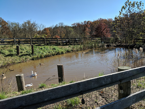 Winery «Rocklands Farm», reviews and photos, 14525 Montevideo Rd, Poolesville, MD 20837, USA