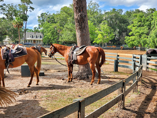 Stable «Lawton Stables», reviews and photos, 190 Greenwood Dr, Hilton Head Island, SC 29928, USA