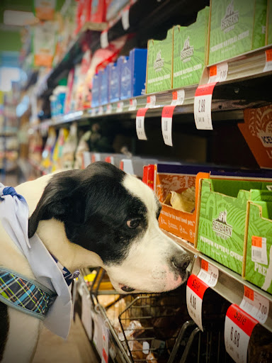 Pet Supply Store «Pet Supplies Plus», reviews and photos, 1704 Greenville Ave, Dallas, TX 75206, USA