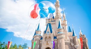Disneyland - photo 20
