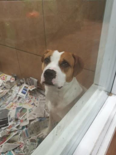 Pet Store «Pets Plus - Lansdale», reviews and photos, 555 S Broad St, Lansdale, PA 19446, USA