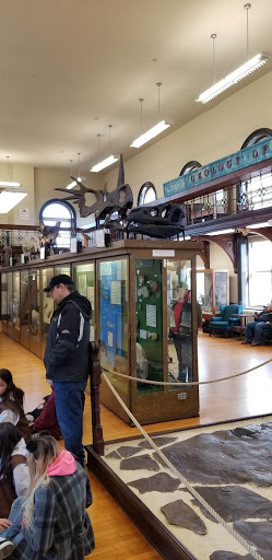 Museum «Rutgers Geology Museum», reviews and photos, 85 Somerset St, New Brunswick, NJ 08901, USA