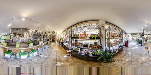 Florist «Dr Delphinium Flower & Orchid House», reviews and photos, 513 W Campbell Rd, Richardson, TX 75080, USA