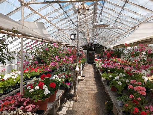 Sunnyside Florists-Greenhouses, 117 Buck St, Bangor, ME 04401, USA, 