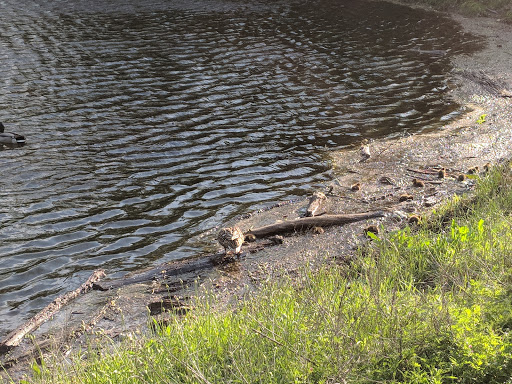 Park «Hoblitzelle Park», reviews and photos, 7500 Red River Dr, Plano, TX 75025, USA