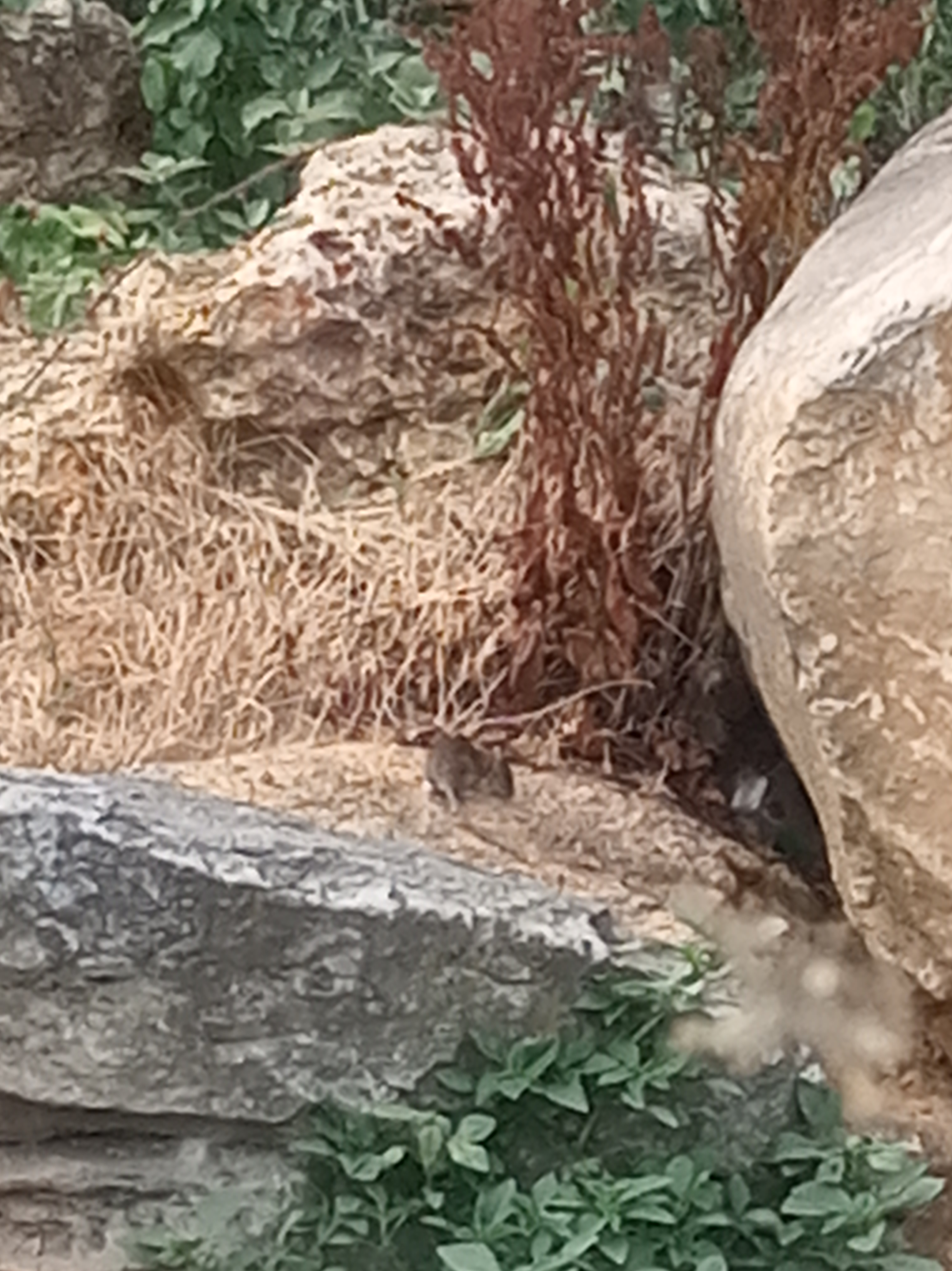 Photo n° 2 de l'avis de FabyolaTagada. fait le 17/07/2019 à 19:35