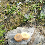 Photo n°6 de l'avis de Andreas.H fait le 27/07/2018 à 14:58 sur le  Berggasthof Tarscher Alm à Latsch