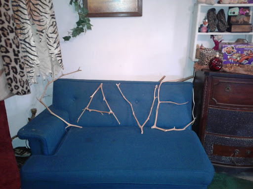 Tourist Attraction «The Cave House - Linda Collier», reviews and photos, 1623 Charles Page Blvd, Tulsa, OK 74127, USA