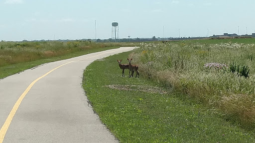 Nature Preserve «Prairie Bluff Preserve», reviews and photos, 20205 W Renwick Rd, Crest Hill, IL 60403, USA