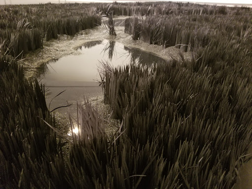 Art Museum «Wichita Art Museum», reviews and photos, 1400 Museum Blvd, Wichita, KS 67203, USA