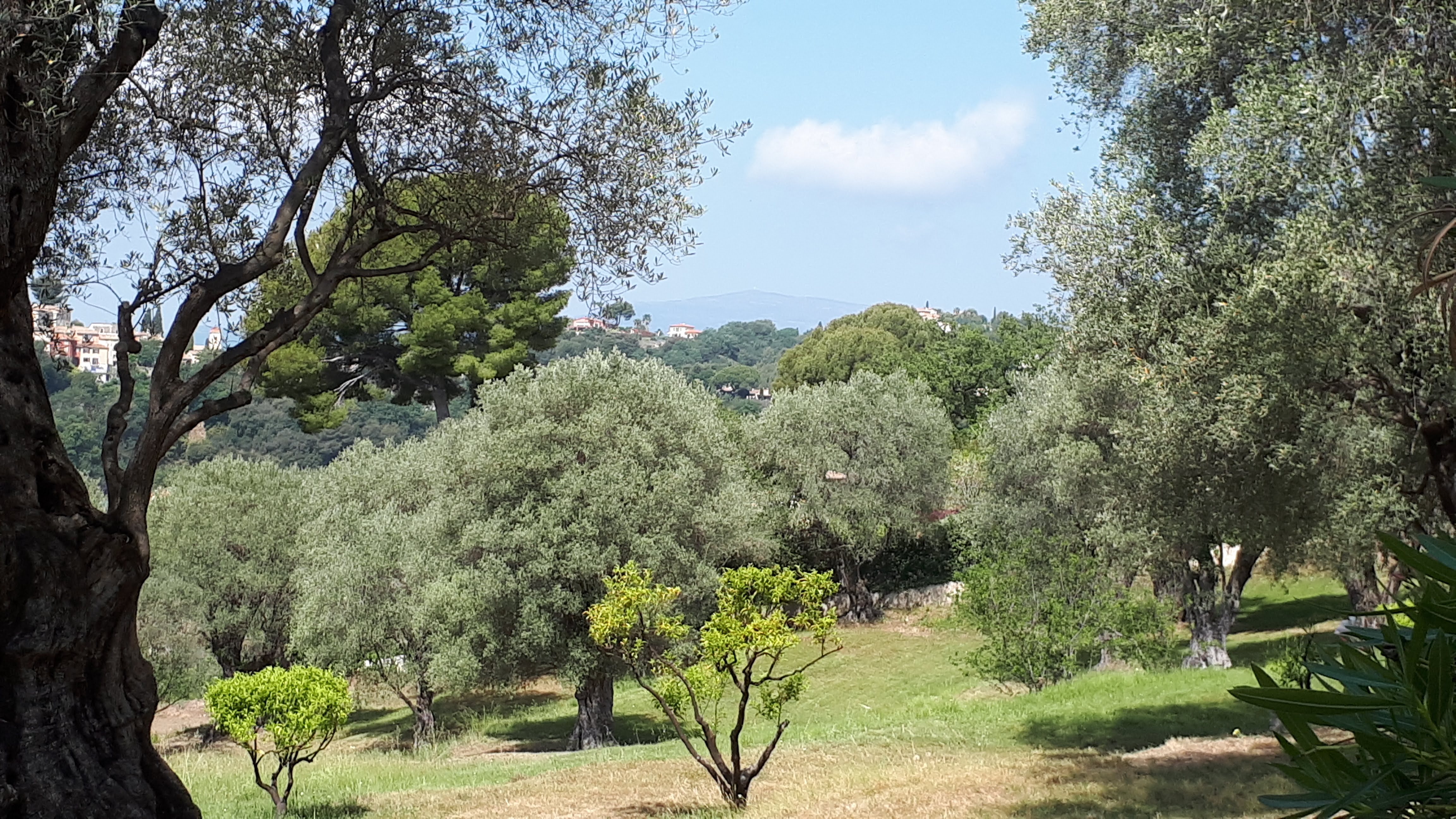 Photo n° 4 de l'avis de Francis.E fait le 26/05/2022 à 15:06