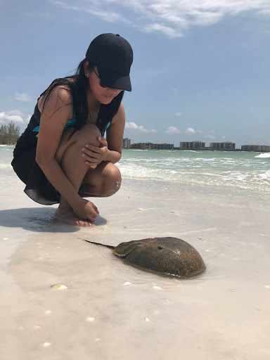 Boat Rental Service «Boat Rentals at Naples Bay Resort», reviews and photos, 1500 5th Ave S, Naples, FL 34102, USA