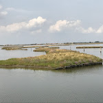Photo n°11 de l'avis de Roberto.o fait le 07/11/2022 à 12:46 sur le  Bettolino di Foce à Comacchio