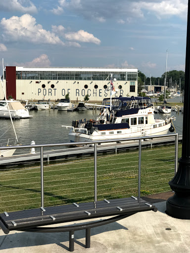 Auto Parts Store «Advance Auto Parts», reviews and photos, 527 Monroe Ave, Rochester, NY 14607, USA