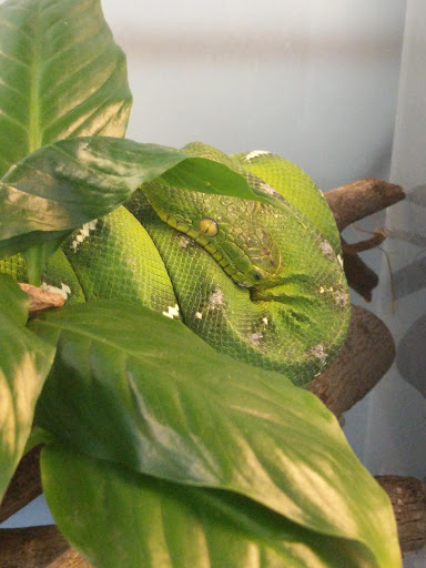 Aquarium «Aquarium Specialties & Research Center», reviews and photos, 235 Lancaster Ave, Malvern, PA 19355, USA