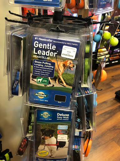 Pet Boarding Service «Provincetown Pet Resort, Supplies & Grooming», reviews and photos, 79 Shank Painter Rd, Provincetown, MA 02657, USA