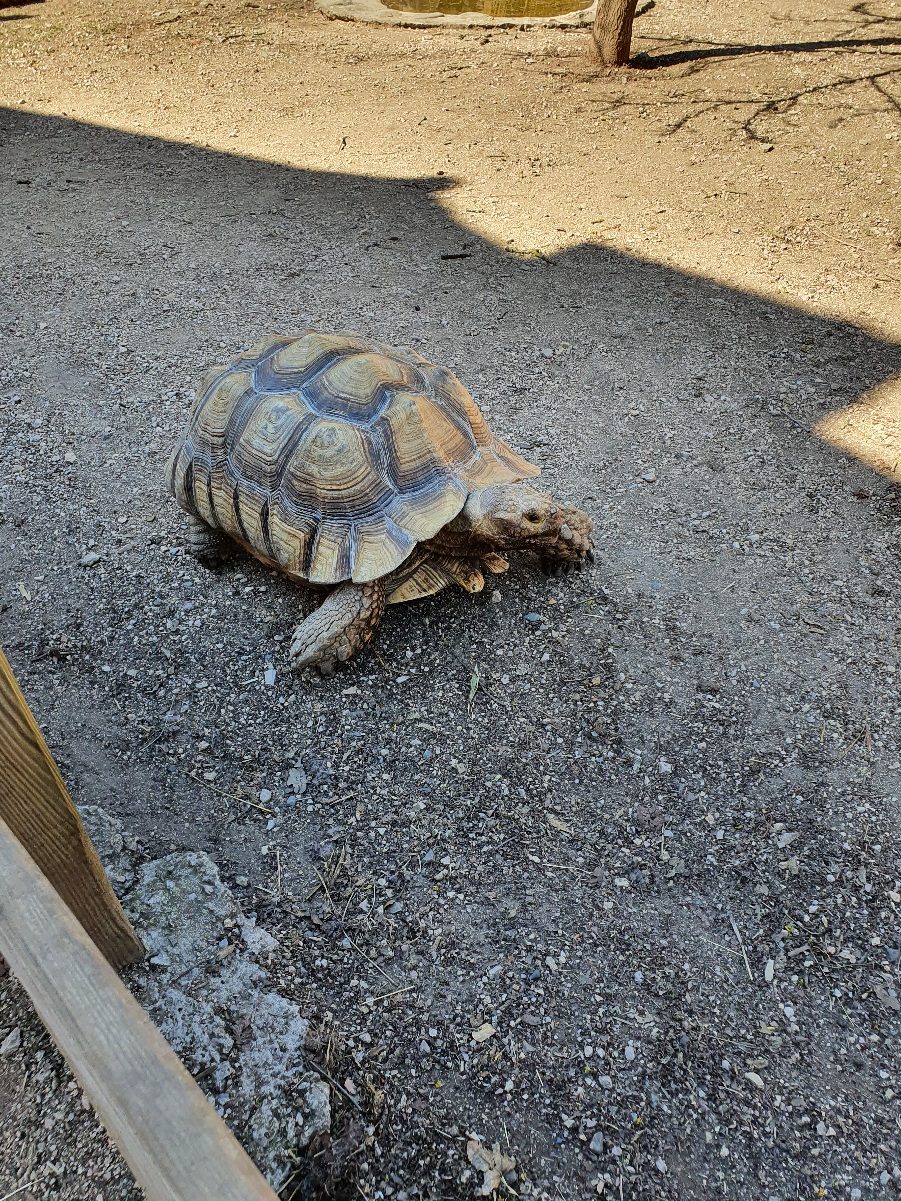 Photo n° 3 de l'avis de ROIJEINARO. fait le 17/04/2022 à 18:20