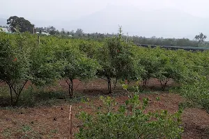 Jain Irrigation Systems Limited, Elayamuthur Village image