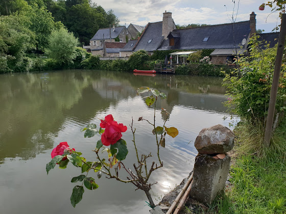 Cottage Chambre d'hôtes Le Grenier du Moulin 37510 Savonnières