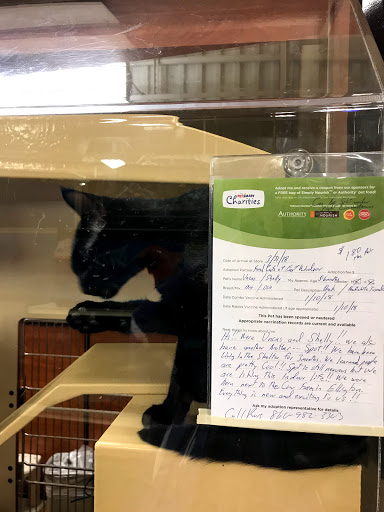 Pet Supply Store «PetSmart», reviews and photos, 10 Hazard Ave, Enfield, CT 06082, USA