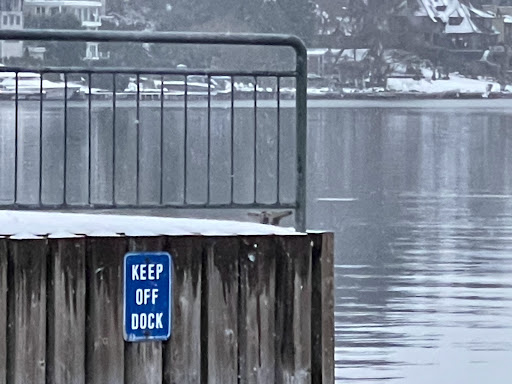 Park «Clyde Beach Park», reviews and photos, 2 92nd Ave NE, Bellevue, WA 98004, USA