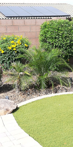 Garden Center «Moon Valley Nurseries West Valley / Avondale», reviews and photos, 11320 W Indian School Rd, Avondale, AZ 85323, USA