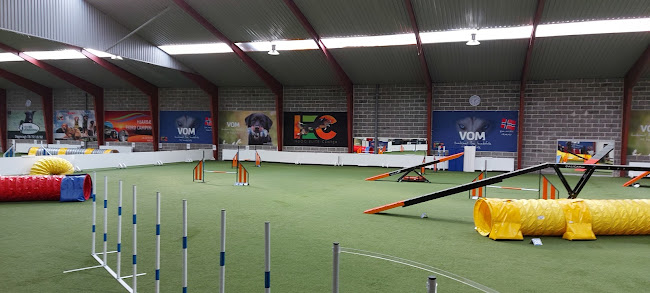 Comentarii opinii despre InDog Elite Center