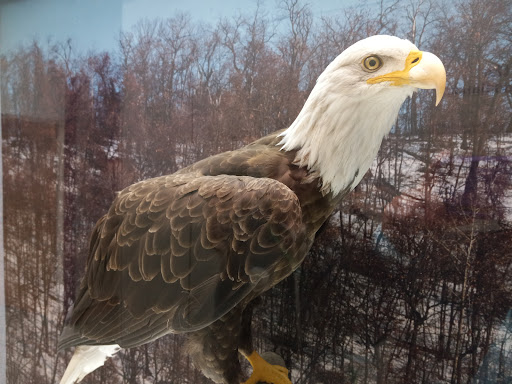 Visitor Center «Effigy Mounds National Monument Visitor Center», reviews and photos, 151 IA-76, Harpers Ferry, IA 52146, USA