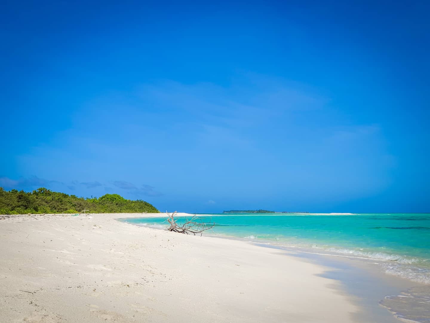 Dhidhdhoo Island Beach的照片 带有明亮的沙子表面