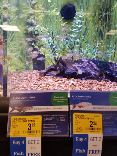 Pet Supply Store «PetSmart», reviews and photos, 2770 FM 365 c, Port Arthur, TX 77640, USA