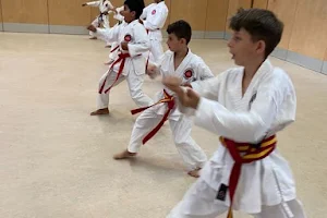 Shotokan Karate JKA Academy image